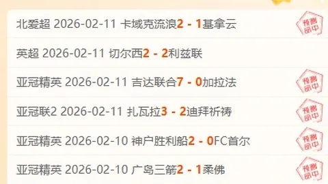 中国滑雪健儿齐聚高山赛场，蓄势待发冬奥之旅