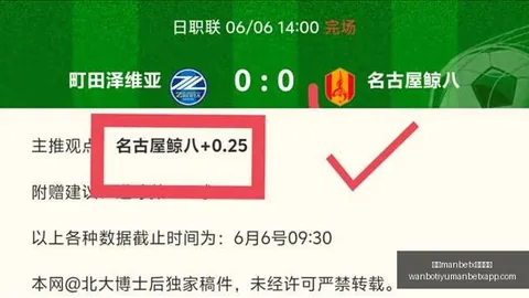 2026篮球足球盛宴：总决赛，攻略
